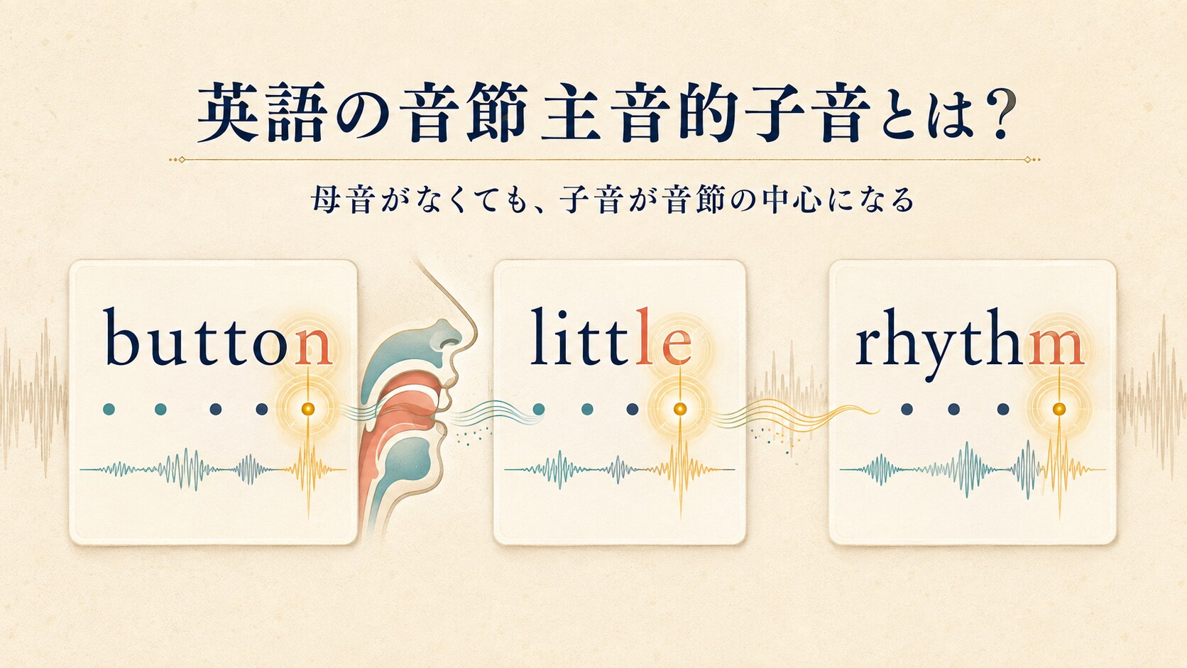 button、little、rhythmを例に英語の音節主音的子音を説明するイラスト