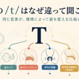 英語のtが環境によって違って聞こえる仕組みを表したイラスト