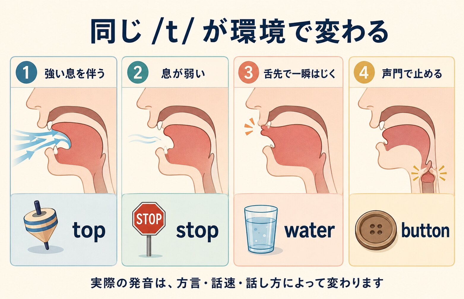 英語のtの代表的な発音変化4種類を示す解説図