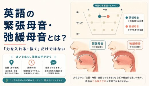 英語の緊張母音・弛緩母音とは？tense・laxを「力」だけで説明できない理由
