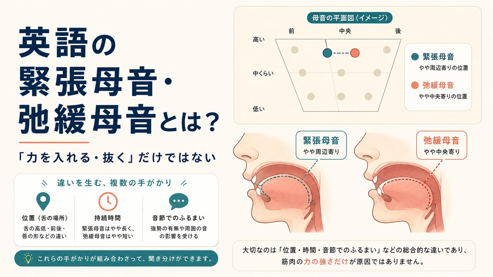 英語の緊張母音と弛緩母音を母音図と口の中で比較したイラスト