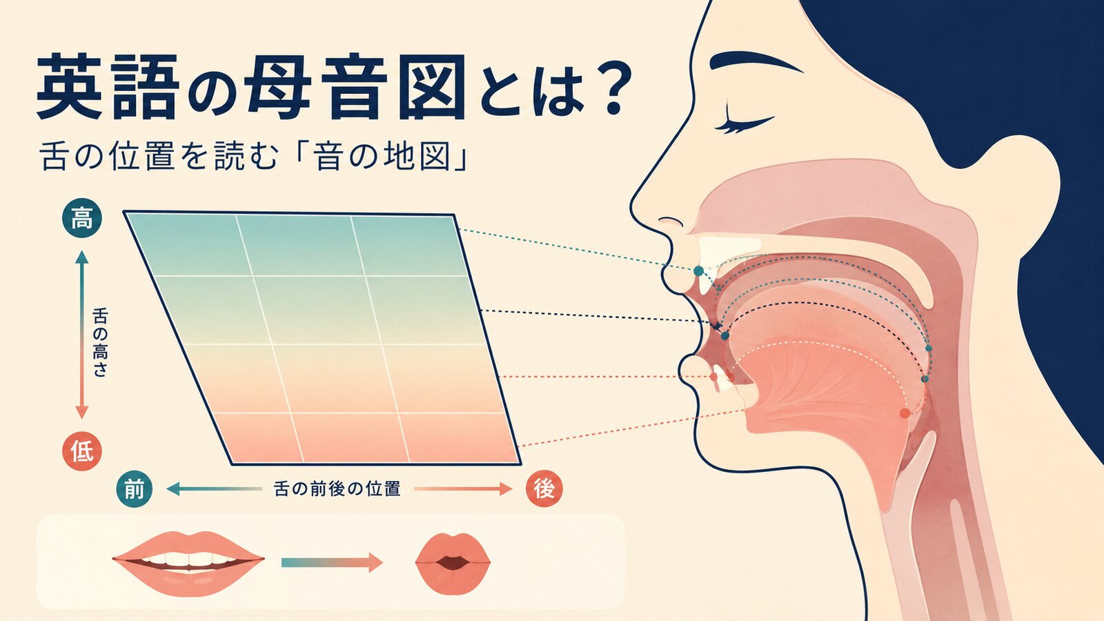 英語の母音図を舌の高さ・前後・唇の形で示したイラスト