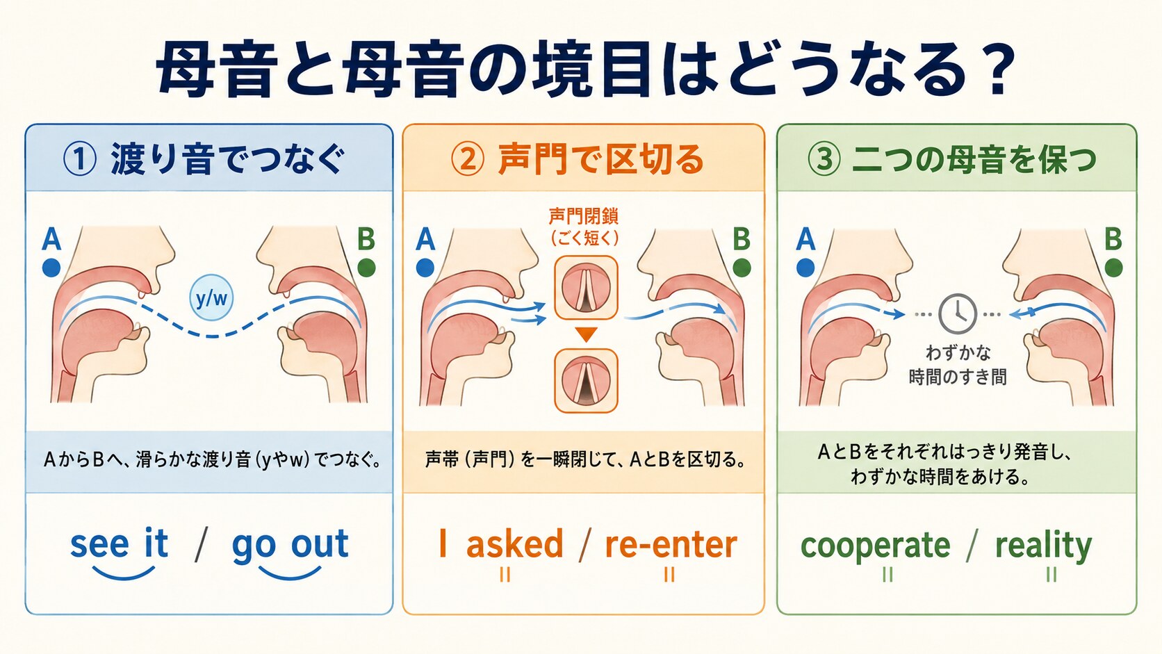 渡り音・声門閉鎖・二つの母音を保つ処理を比較する発音図解