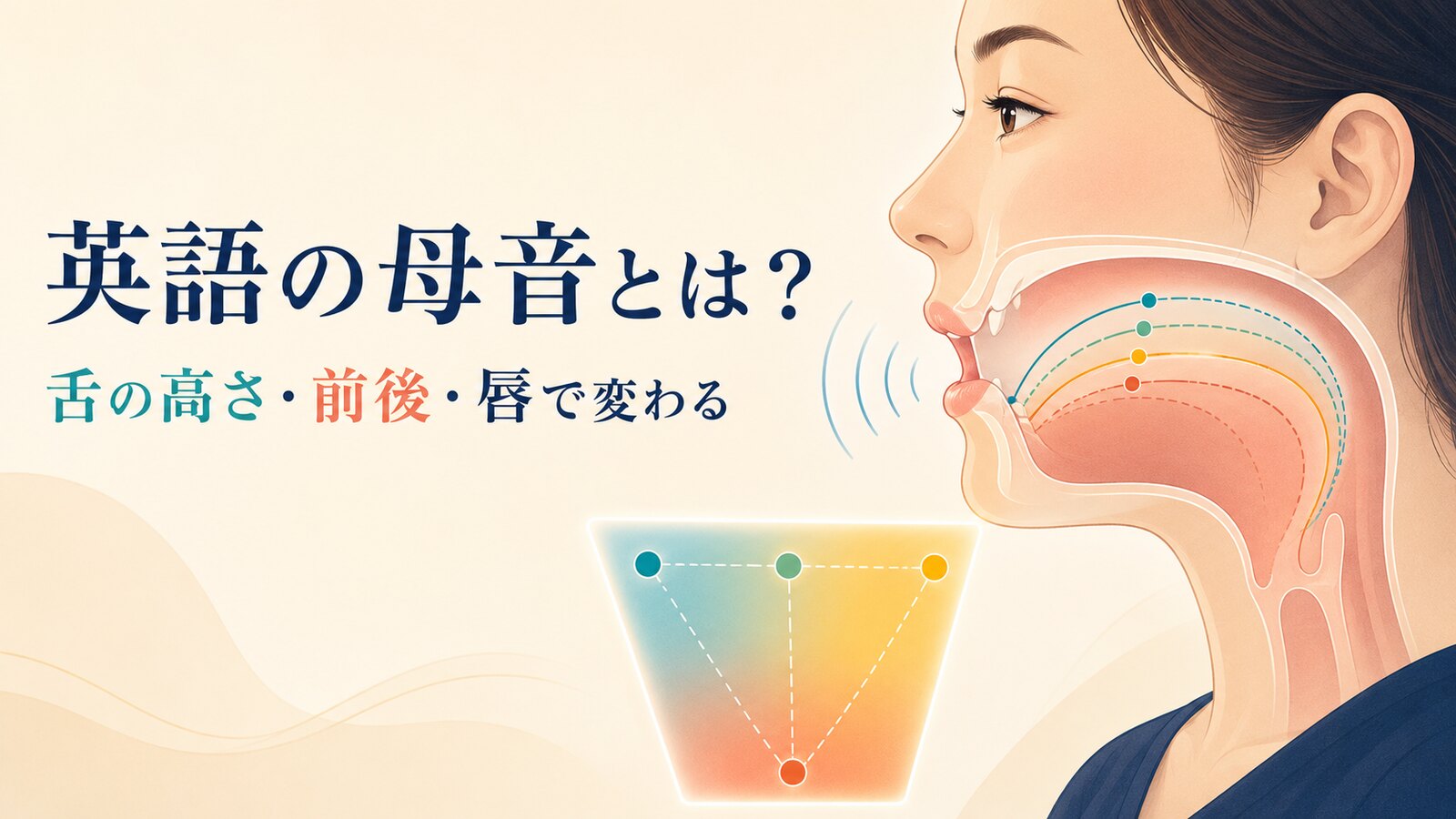 英語の母音が舌の高さ・前後・唇の形で変わることを示すイラスト
