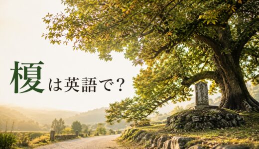 榎は英語で？Japanese hackberryの発音・学名、えのき茸との違いと一里塚の説明