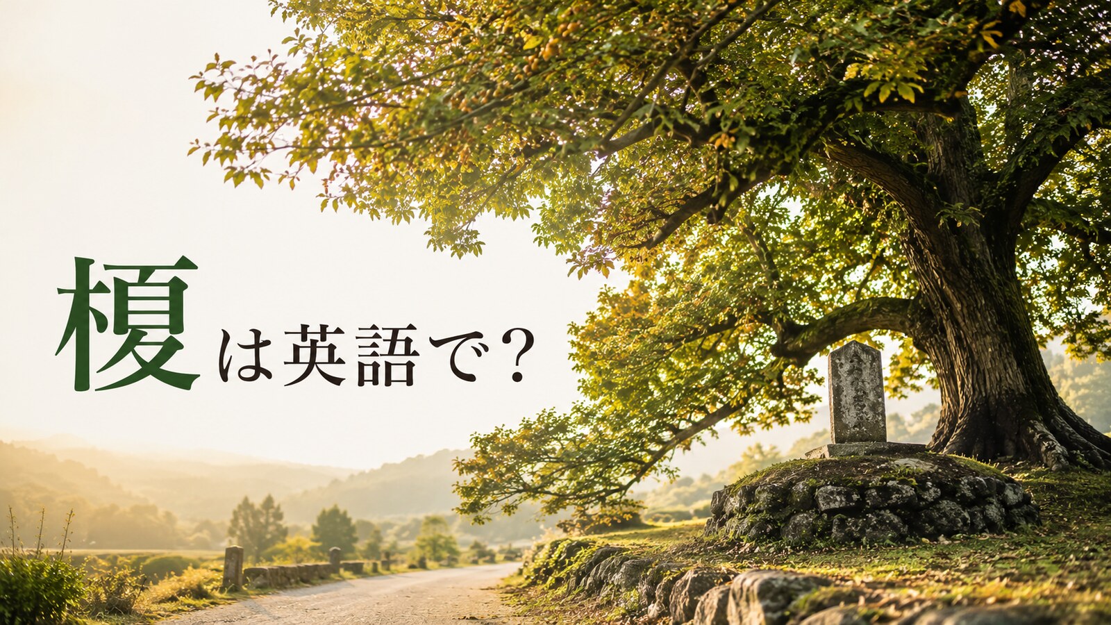 榎は英語で？旧街道の一里塚に立つJapanese hackberryの大木