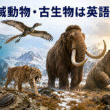 マンモス・サーベルタイガー・オオナマケモノ・ドードーなどと「絶滅動物・古生物は英語で?」の文字