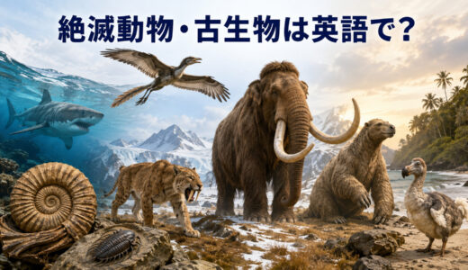 絶滅動物・古生物は英語で？8種類の名前・発音一覧【マンモスからドードーまで】