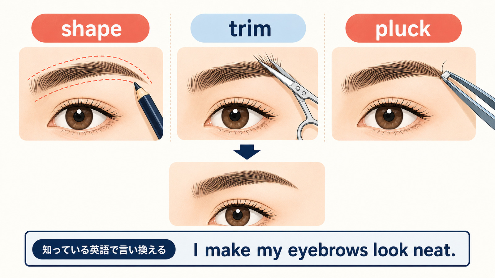 shape・trim・pluckの違いと簡単な英語への言い換え