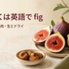 いちじくは英語でfigと示し、複数形・皮・果肉・生とドライいちじくを紹介する画像