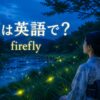 蛍は英語で？firefly