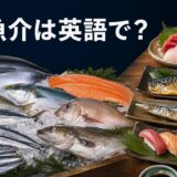 マグロ・鮭・アジ・サバ・イワシ・ブリ・鯛・タラと刺身・焼き魚・寿司、「魚・魚介は英語で?」の文字