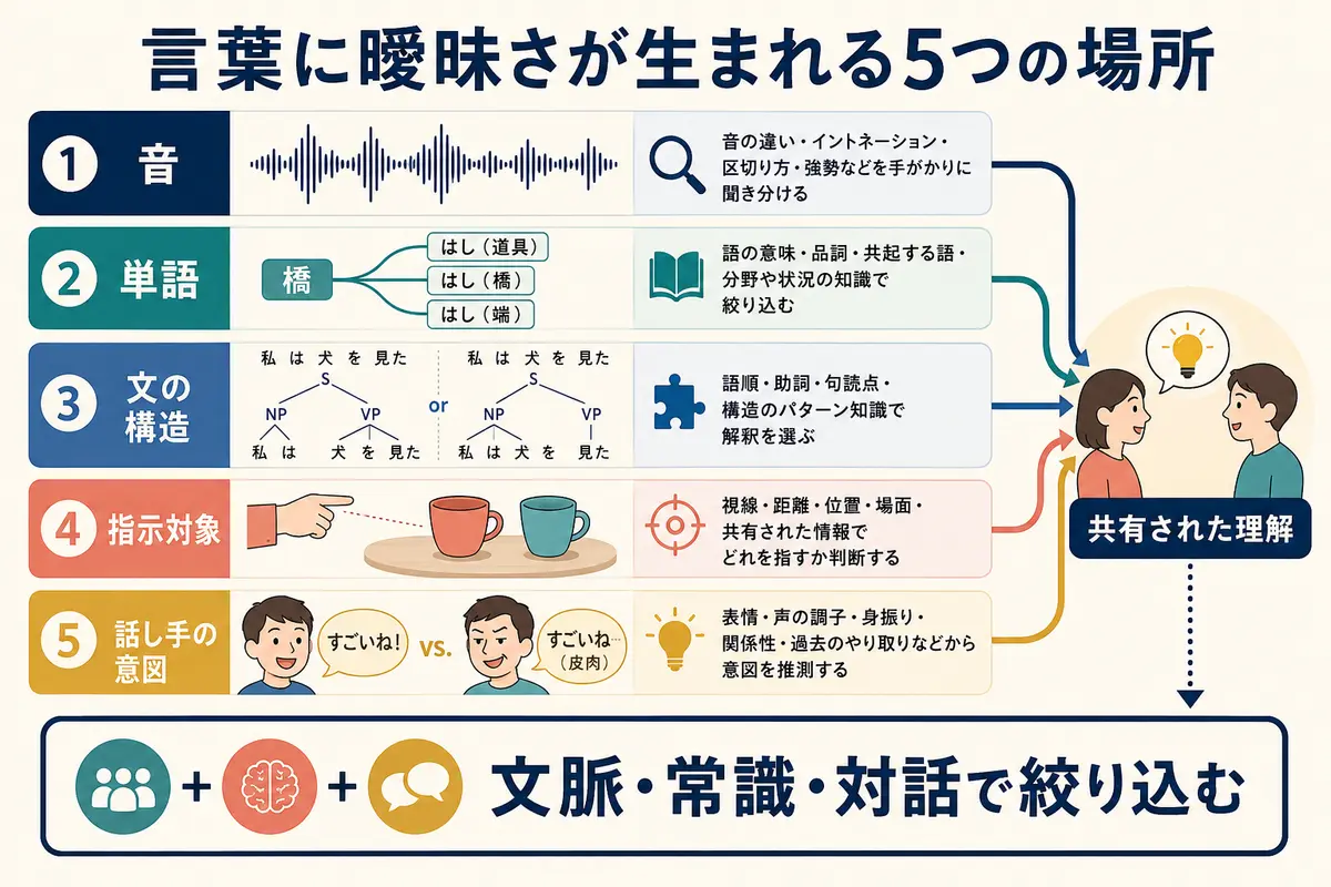 音・単語・文の構造・指示対象・話し手の意図という曖昧さの5層