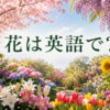 花は英語でflower｜身近な花の英語名一覧