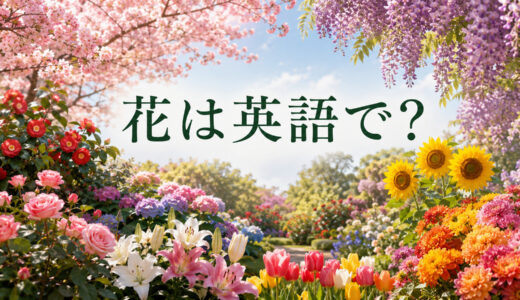 花は英語で？身近な花の名前・部位・咲く／満開／散る表現一覧