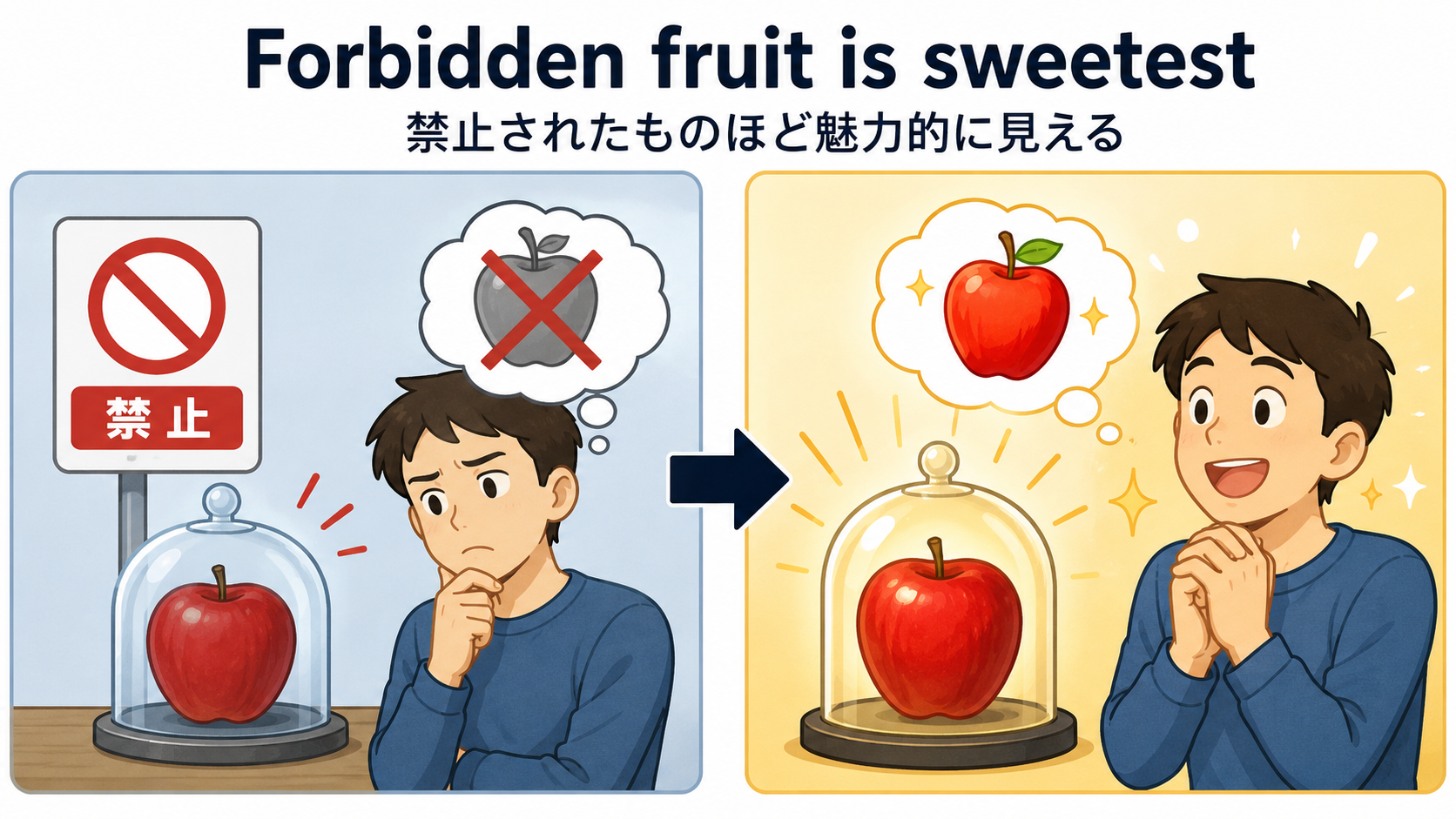 Forbidden fruit is sweetestの直訳と実際のニュアンスを図解