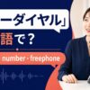 フリーダイヤルの英語表現と使い分け