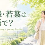 新緑・若葉は英語で?fresh greeneryとyoung leaves
