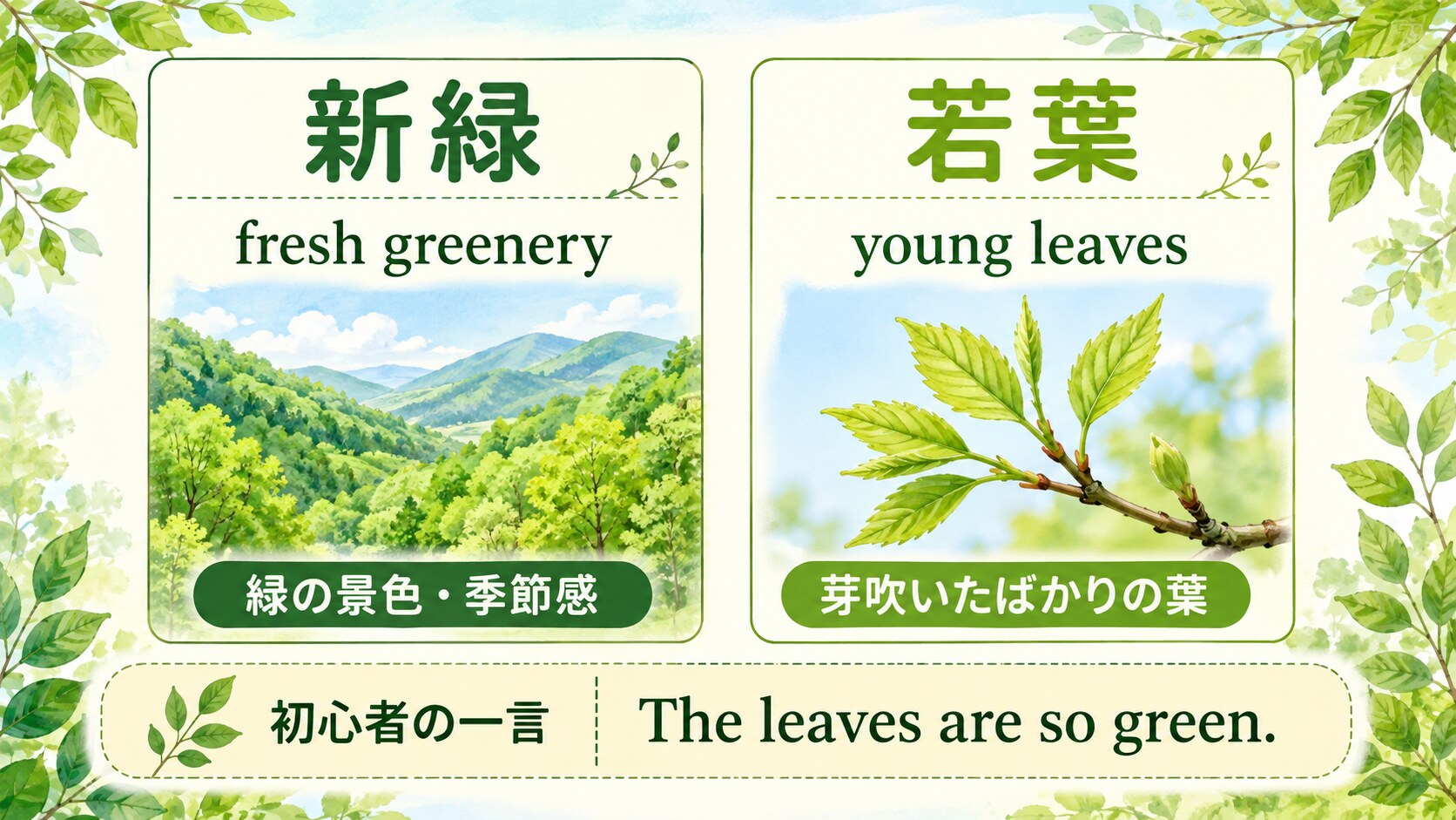 新緑はfresh greenery、若葉はyoung leavesという使い分け