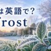 霜は英語でfrostと示した霜の降りた冬の葉のアイキャッチ画像