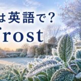 霜は英語でfrostと示した霜の降りた冬の葉のアイキャッチ画像