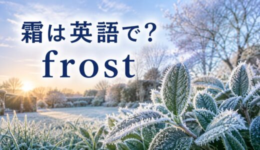 霜は英語で？frostの意味と「霜が降りる・霜で覆われる・霜柱」の表現