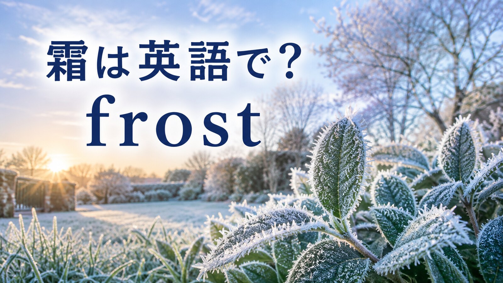 霜は英語でfrostと示した霜の降りた冬の葉のアイキャッチ画像