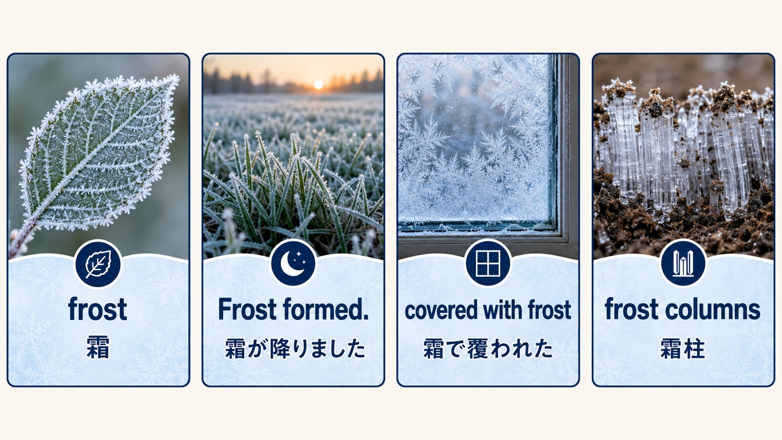 frost・Frost formed・covered with frost・frost columnsを比較した図