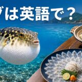 海を泳ぐトラフグとふぐ刺し・ふぐ鍋、「フグは英語で？」の文字