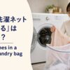 ブラウスをメッシュの洗濯袋に入れる女性とput clothes in a mesh laundry bagの英語表現