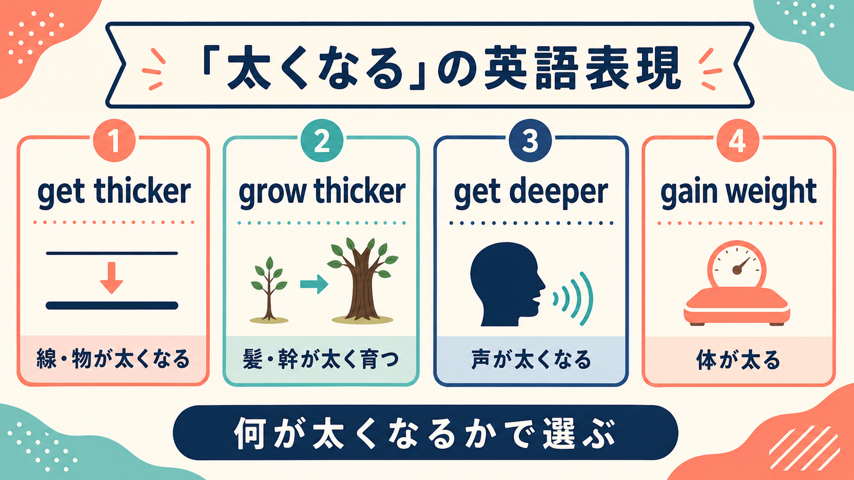 get thicker・grow thicker・get deeper・gain weightの使い分け