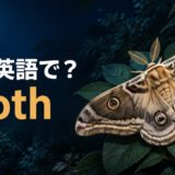 月夜の葉にとまる蛾と「蛾は英語で? moth」の文字