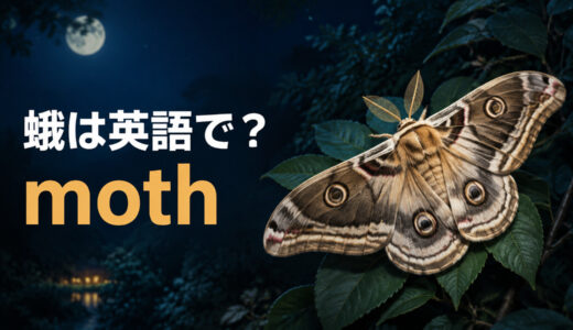 蛾は英語で？mothの発音・複数形と蝶butterflyとの違い