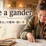 have a ganderの意味と使い方