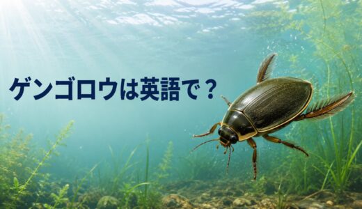 ゲンゴロウは英語で？diving beetleの発音・名前の意味と泳ぐ仕組みを解説