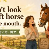 Don’t look a gift horse in the mouth.の意味・使い方・例文