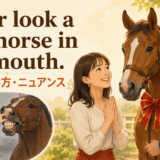 Never look a gift horse in the mouth アイキャッチ
