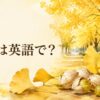 黄金色のイチョウ並木と銀杏に「銀杏は英語で？」と記したアイキャッチ
