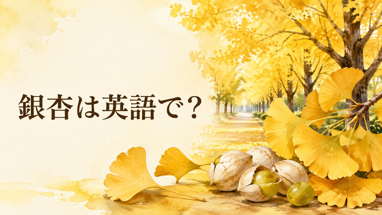 銀杏は英語で？ginkgo nut・ginkgo seedの違い、発音・語源とイチョウの英語