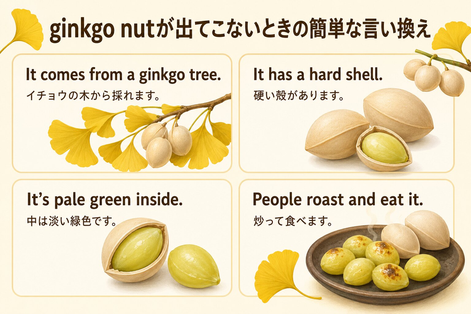 銀杏は英語で？ginkgo nut・ginkgo seedの違いとイチョウ・茶碗蒸しの表現