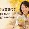 黄金色のイチョウ並木で銀杏の英語表現を学ぶ女性
