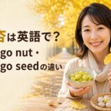 黄金色のイチョウ並木で銀杏の英語表現を学ぶ女性