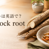 ごぼうは英語でburdock rootと示した、ごぼうときんぴらごぼうの画像