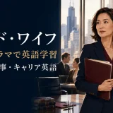 『グッド・ワイフ』海外ドラマで学ぶ法廷・仕事・キャリア英語