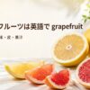 白・ピンク・ルビーレッドのグレープフルーツと「グレープフルーツは英語で grapefruit」の文字