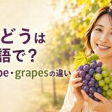 紫と緑のぶどうを手に英語のgrapeとgrapesの違いを学ぶ女性
