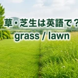 草・芝生は英語で?grassとlawnを示した記事アイキャッチ