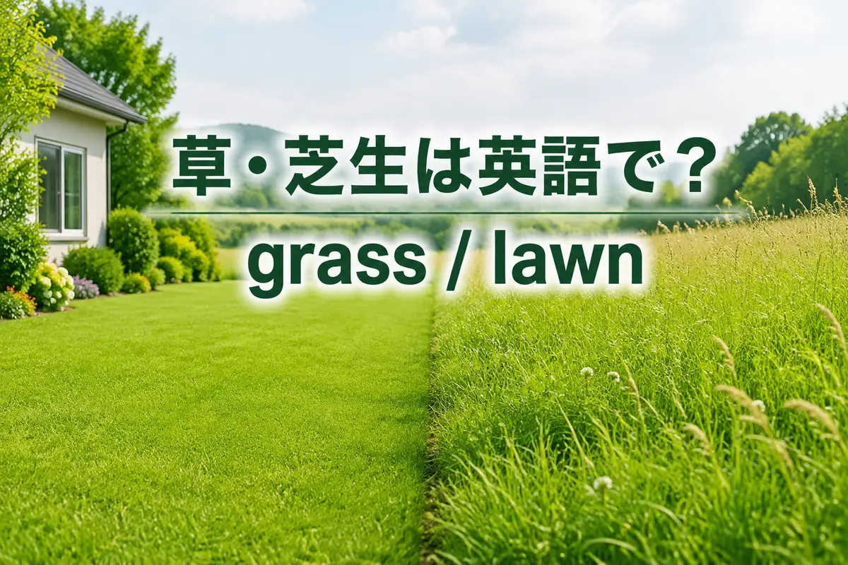 草・芝生は英語で?grassとlawnを示した記事アイキャッチ