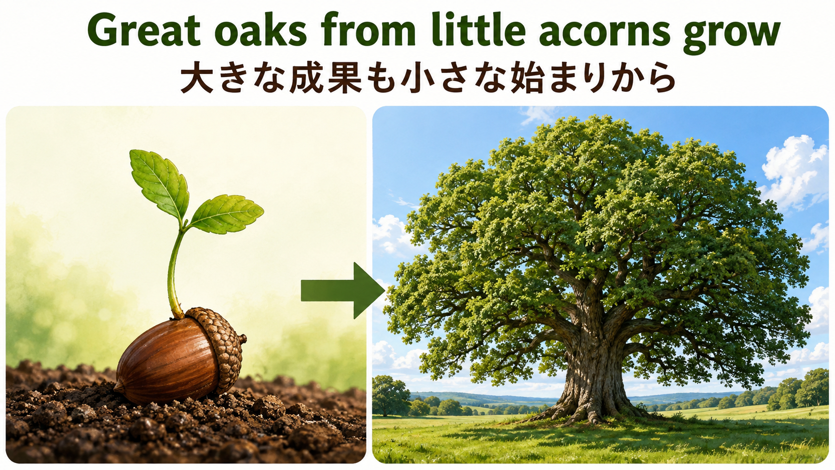 Great oaks from little acorns growの直訳と実際のニュアンスを図解