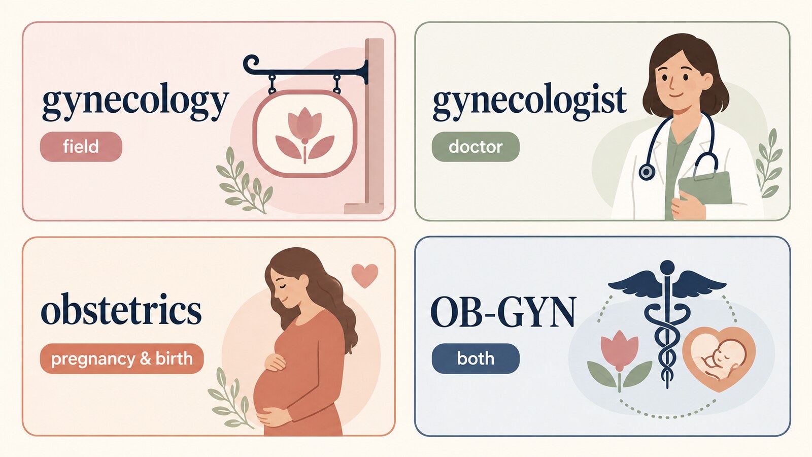 gynecology、gynecologist、obstetrics、OB-GYNの違いを示す図解